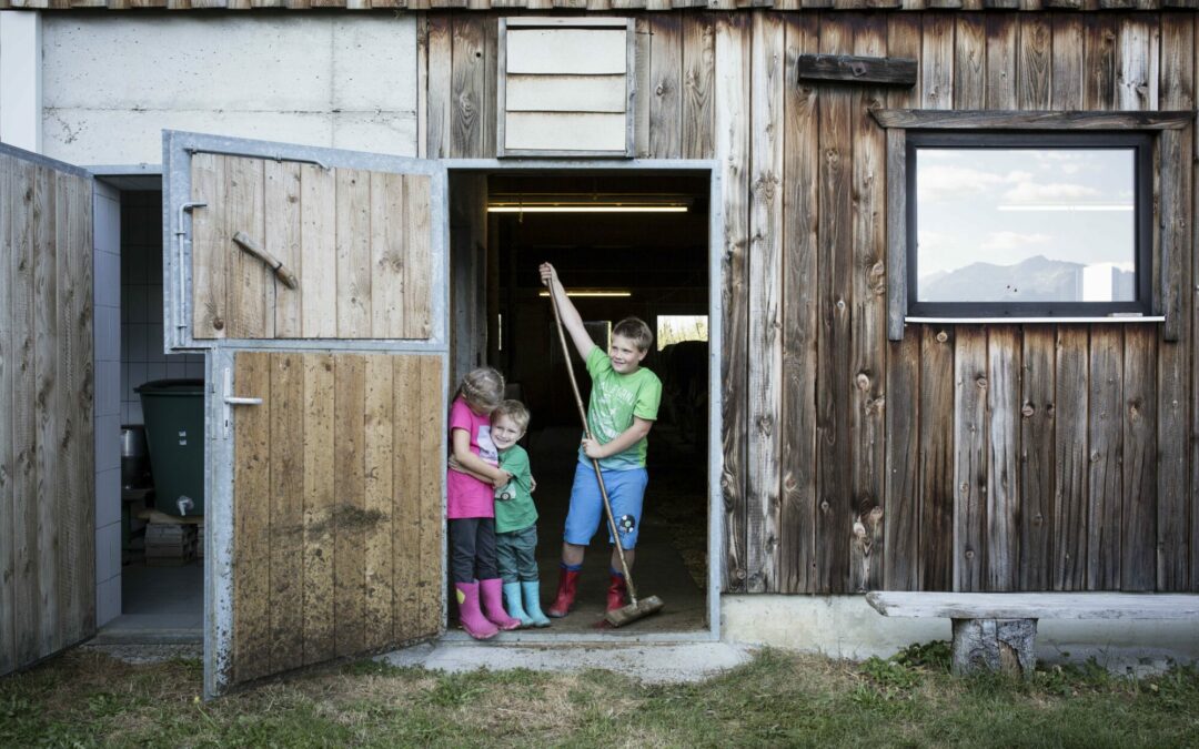 Sommer­kooperationen