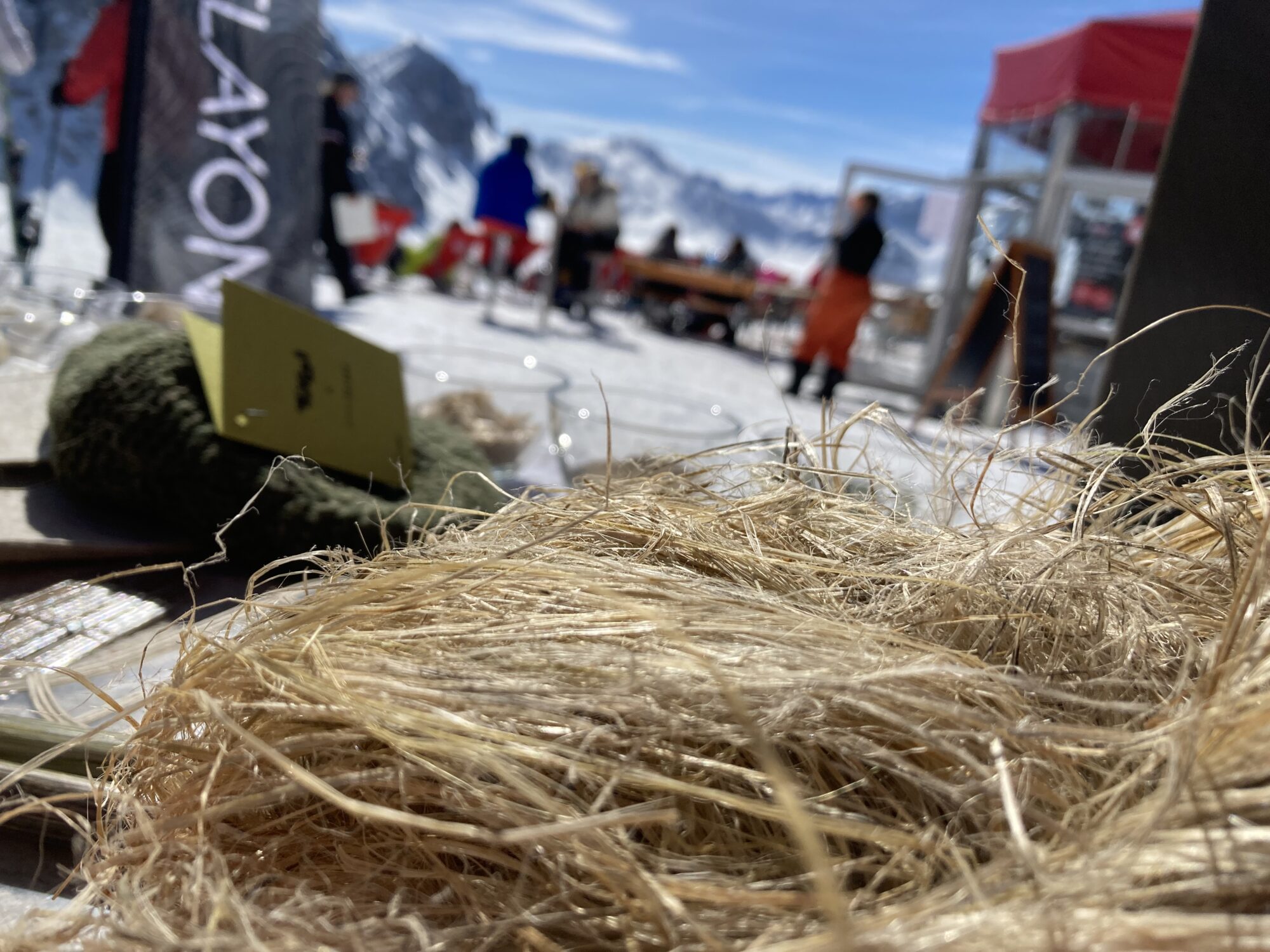 SAT_Alpenhanf Diskutierten in Fügen zum Thema „Bewegung ist mehr als Sport“ (v.l.): Skisprung-Legende Toni Innauer, Thomas Rohregger (ehemaliger Rennradprofi, Sportnetzwerk Tirol), Sportwissenschaftlerin Elisabeth Happ (Universität Innsbruck), Anna-Maria Kogler (Sportnetzwerk Tirol), Christoph Ebenbichler (Skicrosser, Trainer und Sportwissenschaftler), Stefan Steinacher (Sportmoderator) und Bergläufer Markus Kröll. © LRTH